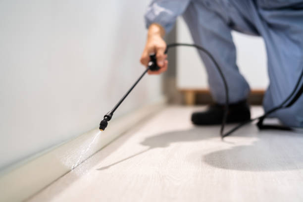 Bed Bug Pre-Treatment Preparation Assessment in Green Park