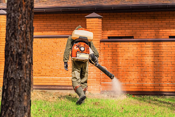 Bed Bug Clearance Verification and Documentation in Green Park